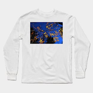 autumn colors Long Sleeve T-Shirt